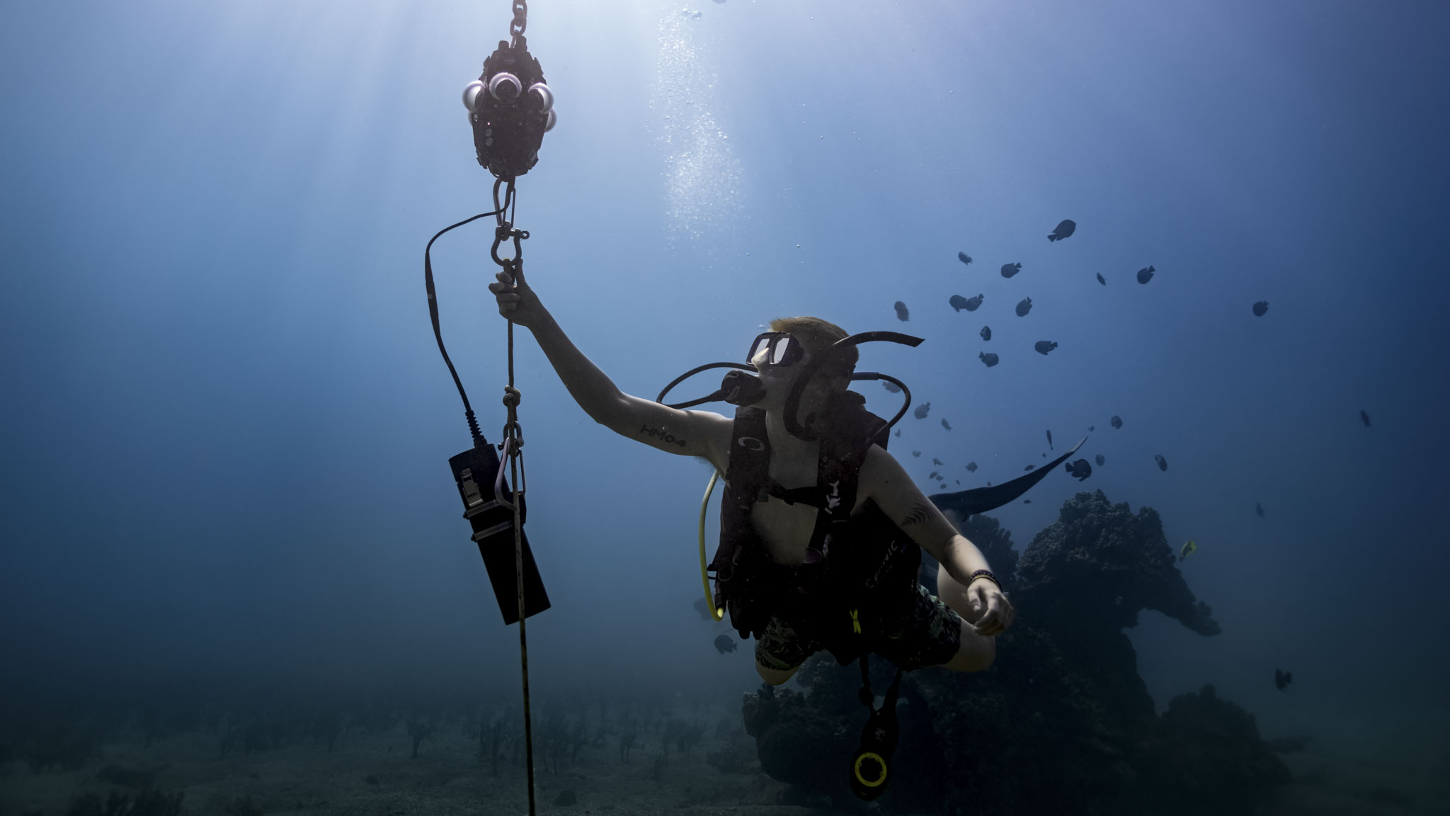 National Geographic Explorer on underwater cinematography